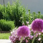 Lejlighed House Magnolia *