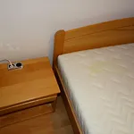 House Magnolia Velence