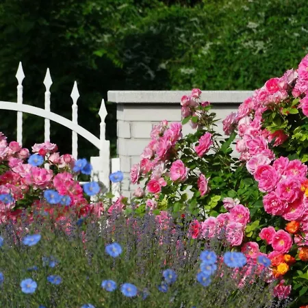 Apartment House Magnolia