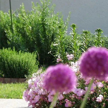 Apartment House Magnolia *