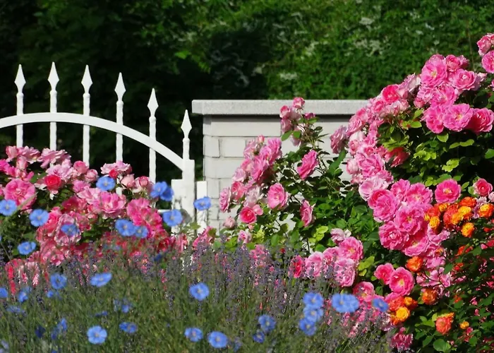 Apartmán House Magnolia