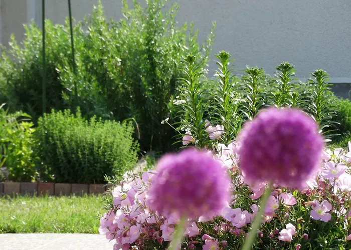 Apartmán House Magnolia *