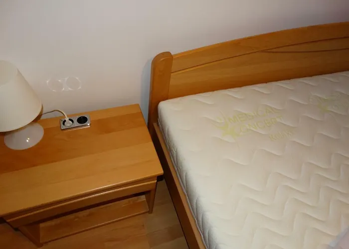 House Magnolia Velence